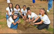 Meio Ambiente | Projeto “Conquista Mais Verde” inicia plantio de árvores na Joia do Sertão Baiano