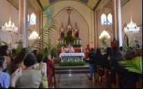 Semana Santa | católicos celebram o Domingo de Ramos com procissão e missa em Vitória da COnquista